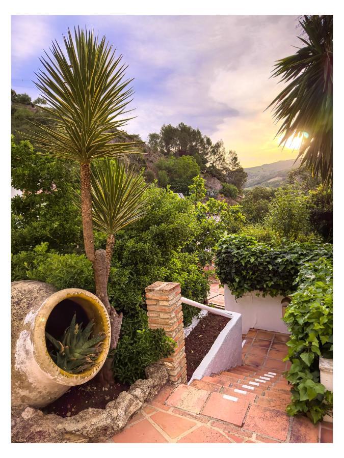 Molino Del Santo Hotel Benaojan Luaran gambar